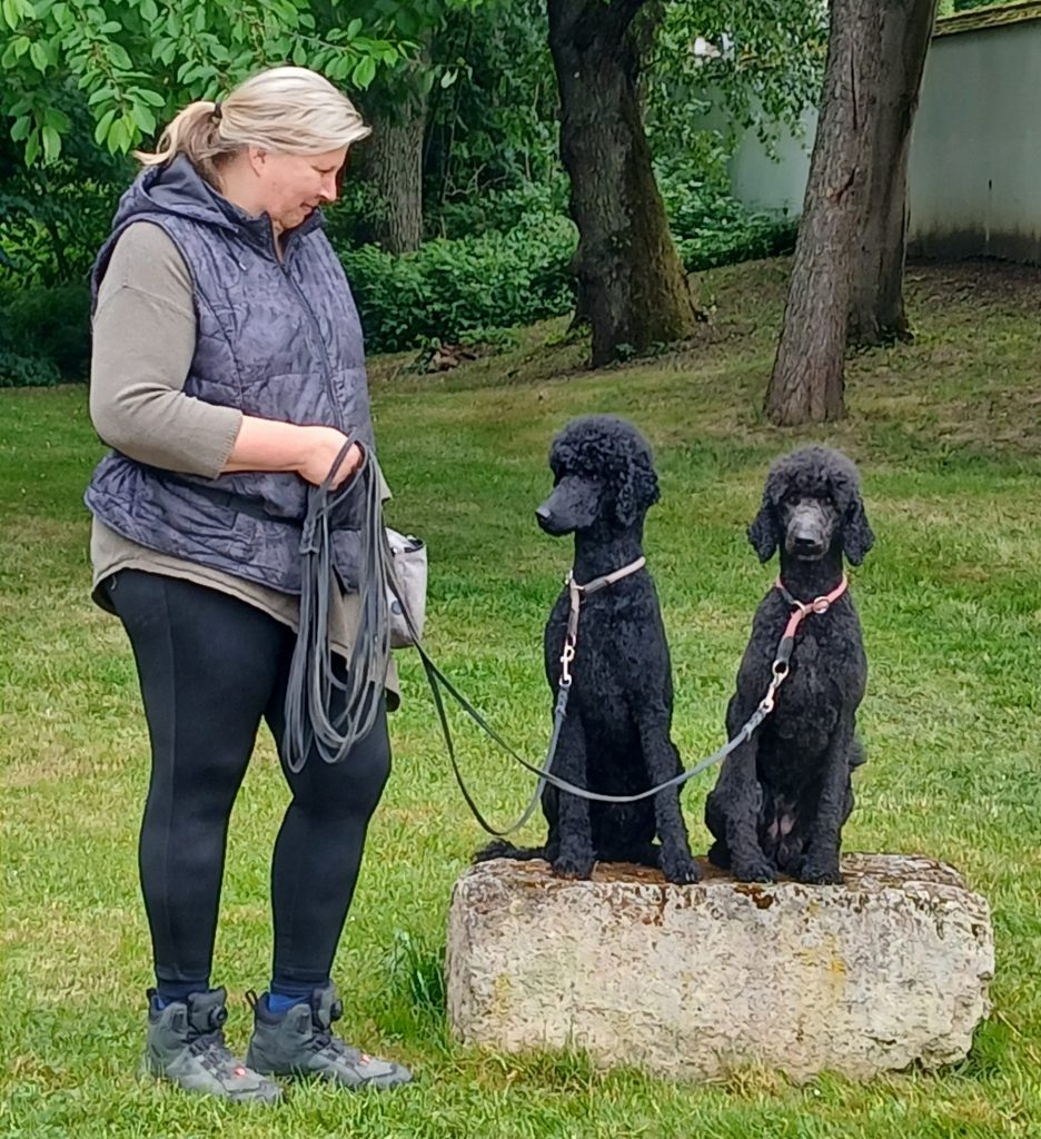 Ausbildung - Hundetraining Völkel