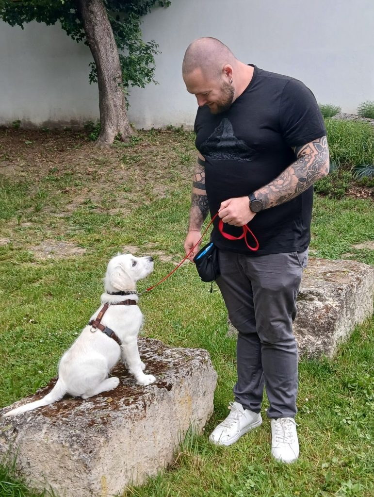 Social Walks - Hundetraining Völkel