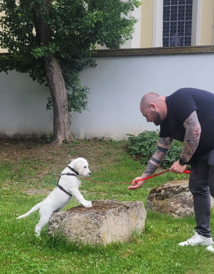 Social Walks - Hundetraining Völkel