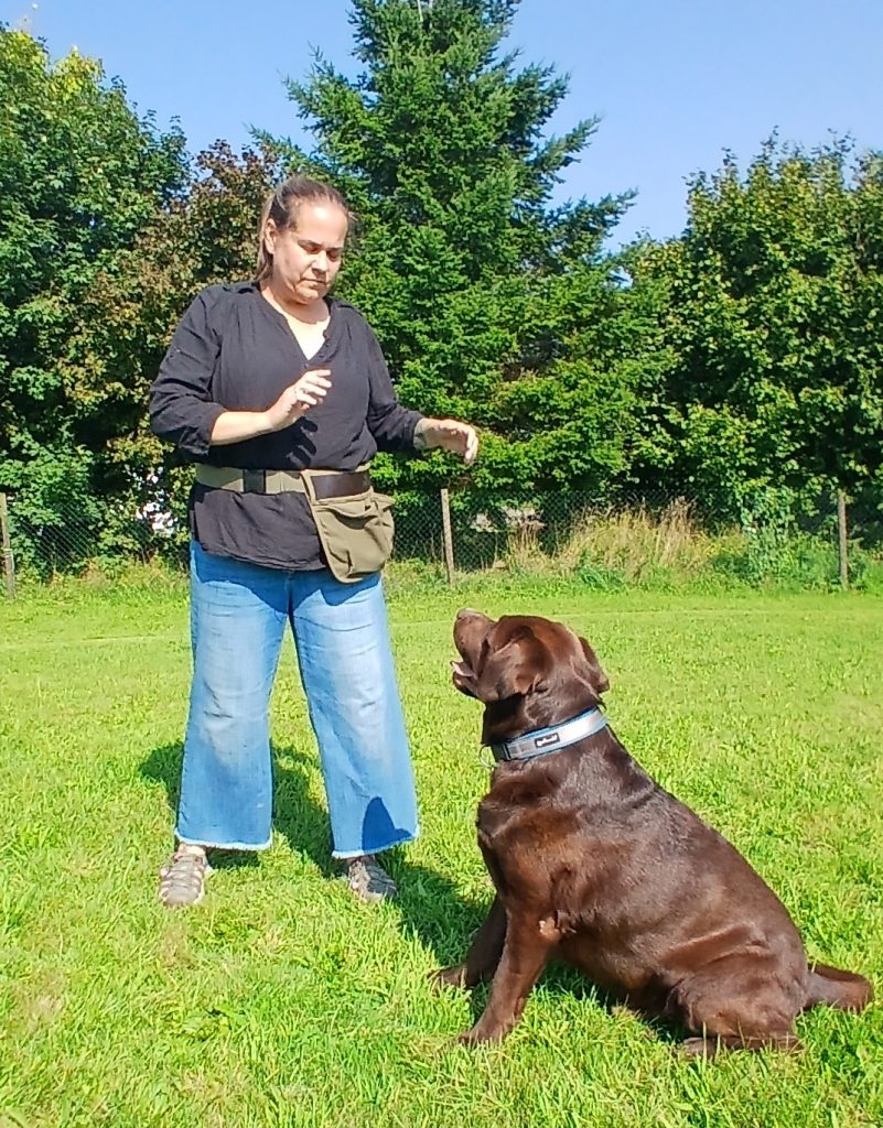 Ausbildung bei Hundetraining Völkel - der Hundeschule mit Herz